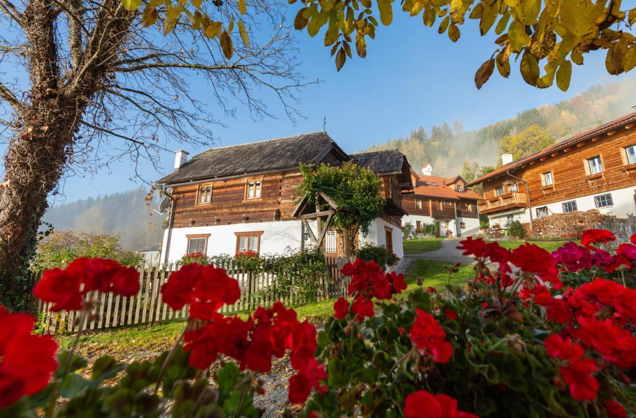 Troadkasten - Ferienhaus Am Bio-Bergbauernhof Aflenz Kurort Екстериор снимка