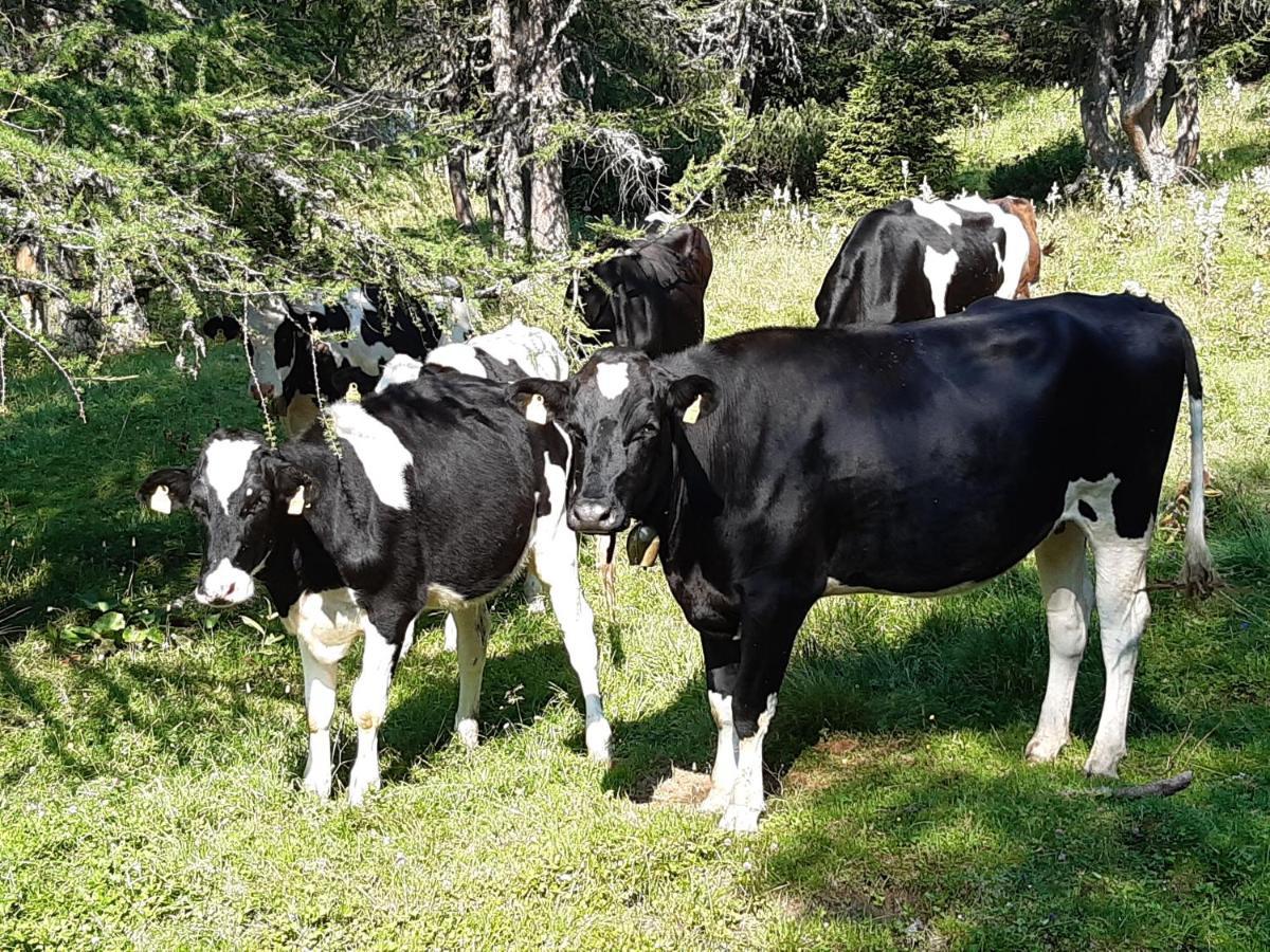 Troadkasten - Ferienhaus Am Bio-Bergbauernhof Aflenz Kurort Екстериор снимка