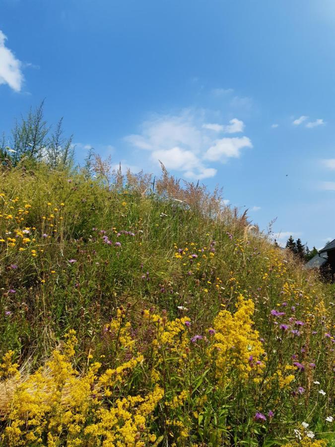 Troadkasten - Ferienhaus Am Bio-Bergbauernhof Aflenz Kurort Екстериор снимка